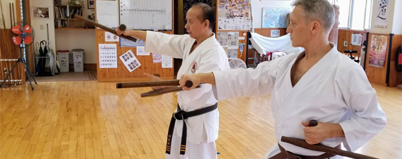 Traditional Karate tonfa