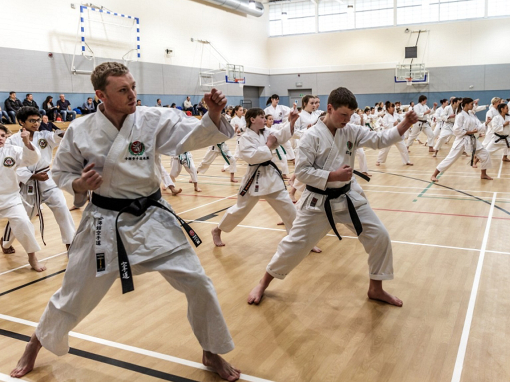 Traditional Karate Karate Training