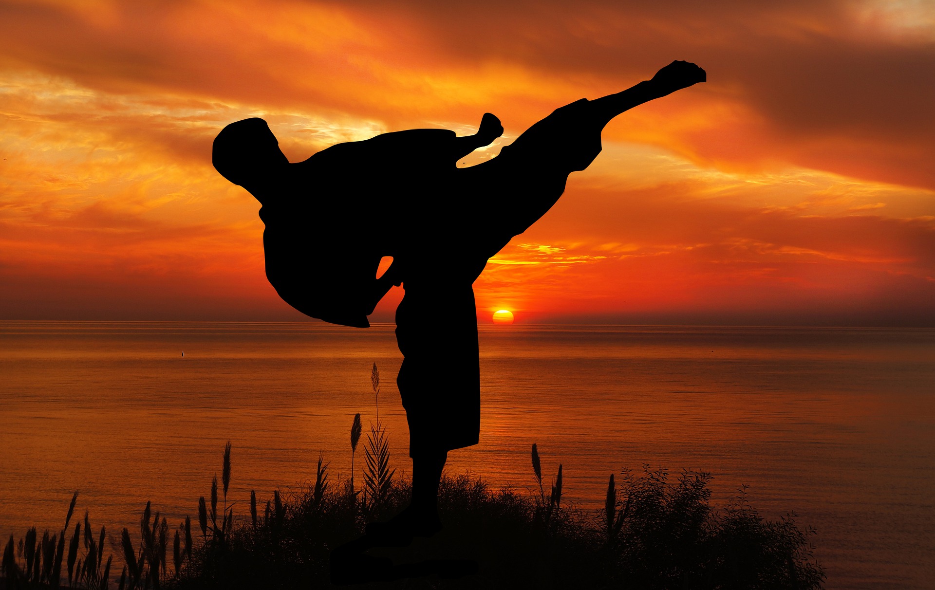 Traditional Karate karate training